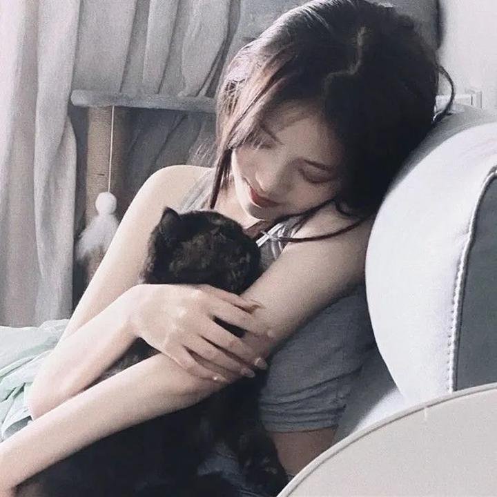 萌犬偷渡记